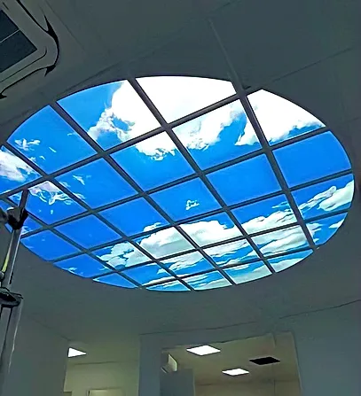 lightmann clients clinique denteeth Faux plafond