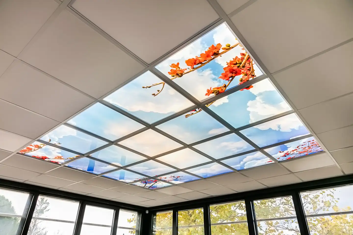 Plafond led Ciel japonais