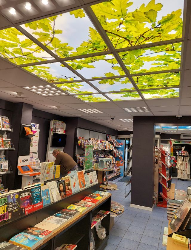 Panneaux LED Décorés - Installation de la Maison de la Presse 2 Maison de la presse