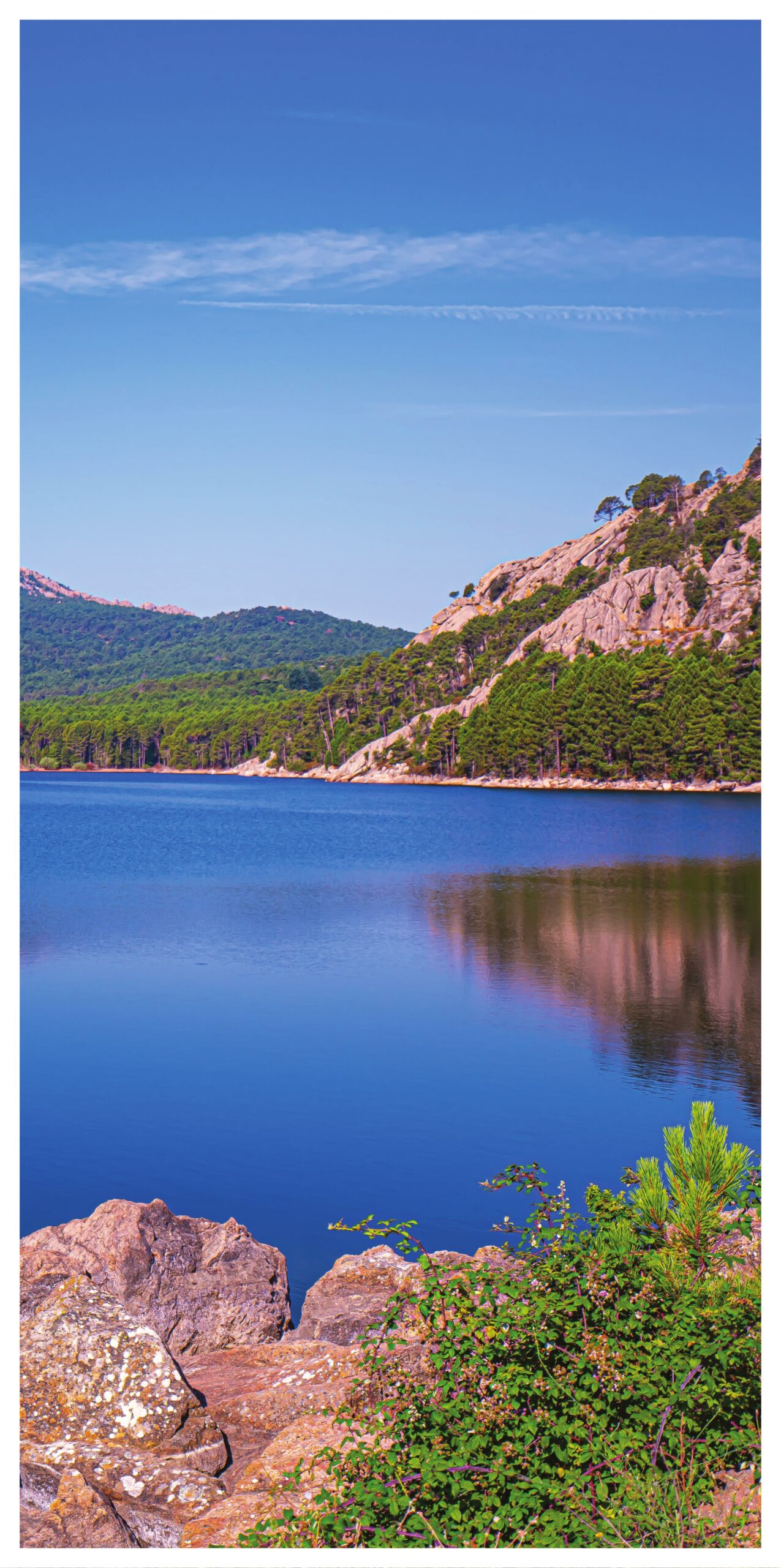 Fenêtre format 1 dalle