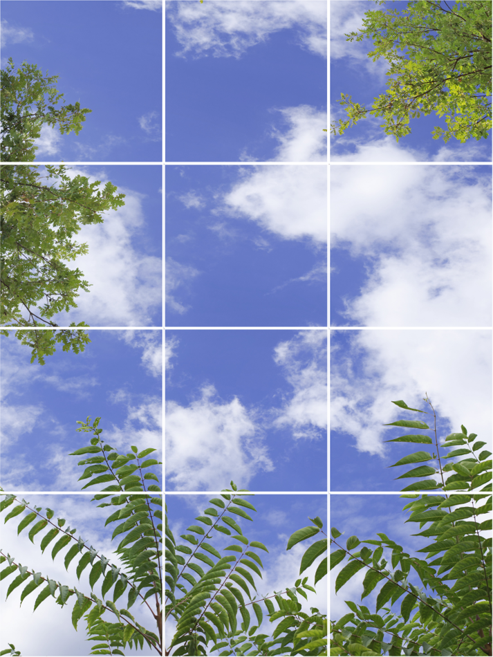 Plafond lumineux P2.23-3x4 Calepiné