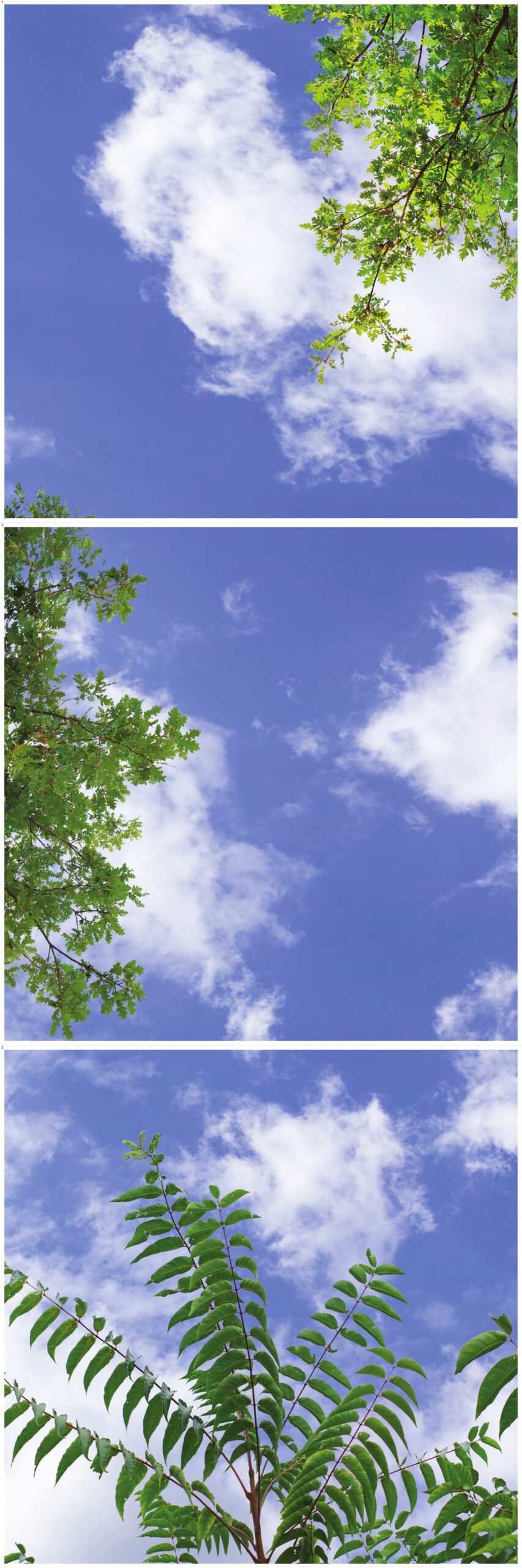 Plafond lumineux P2.23-1x3 Calepiné