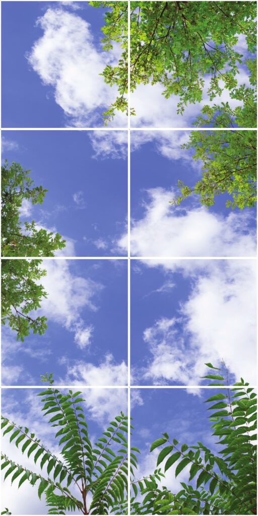 Plafond lumineux P2.23-2x4 Calepiné