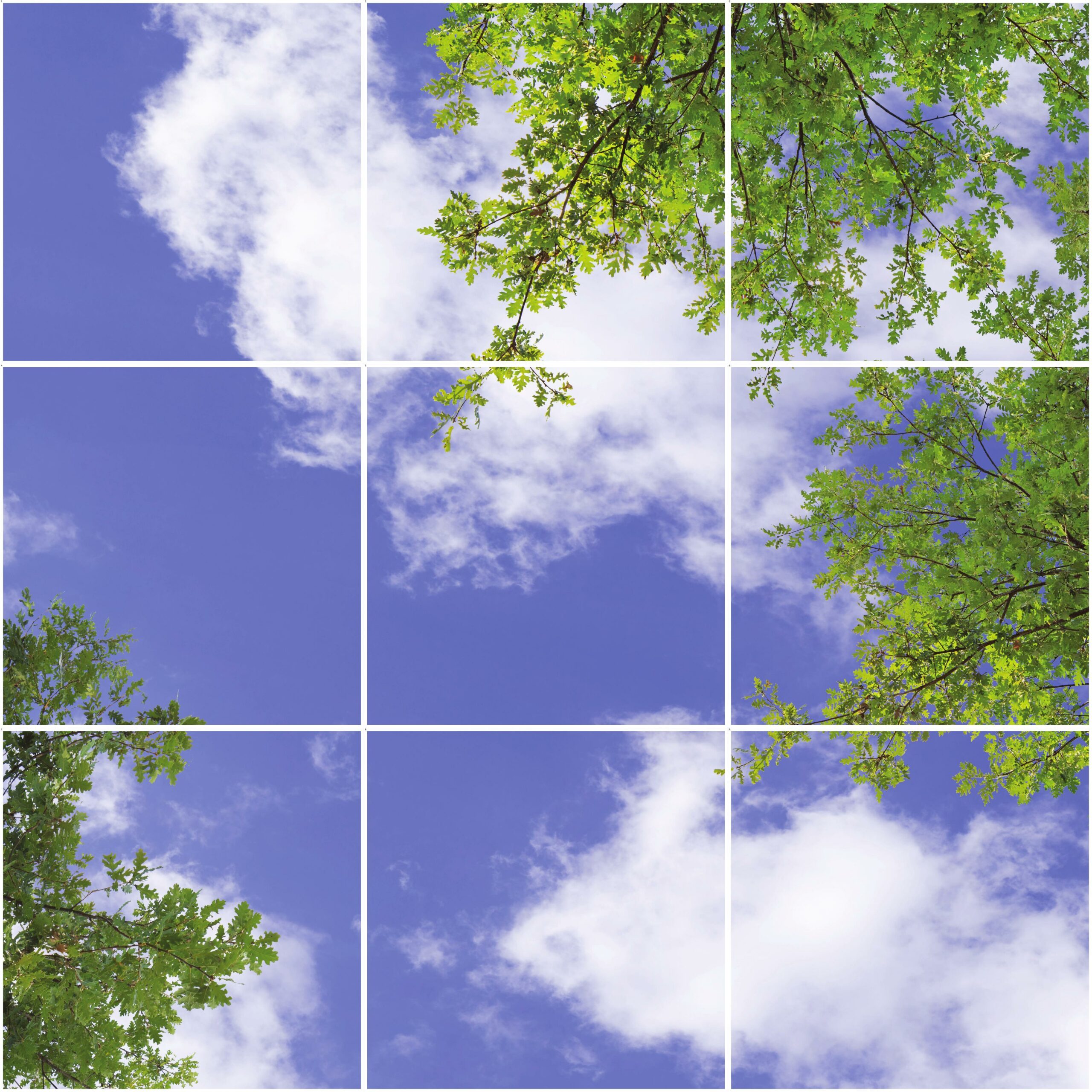 Plafond lumineux P2.23-3x3 Calepiné