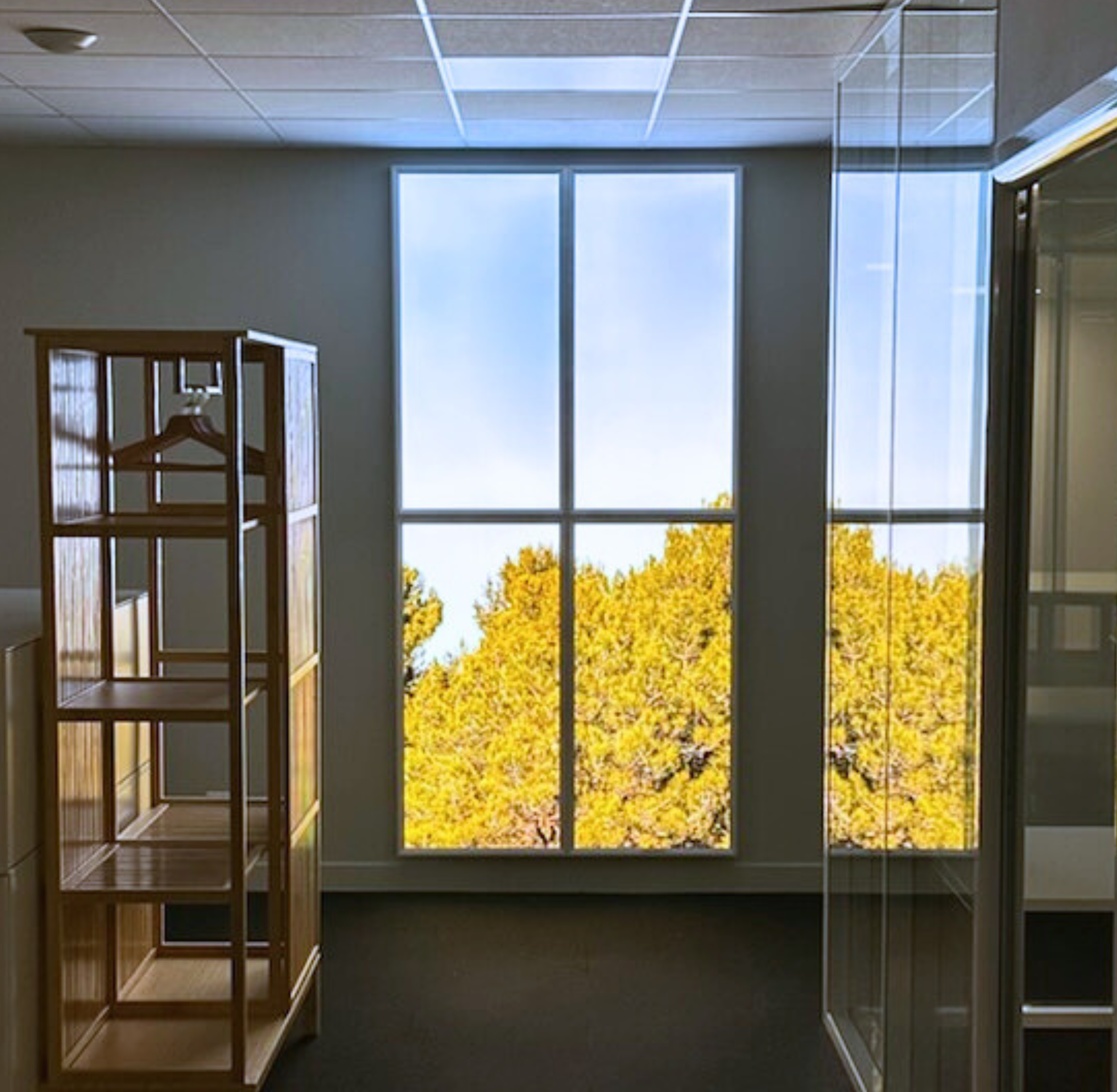 Accueil 3 Baie vitrée effet trompe l'œil paysage