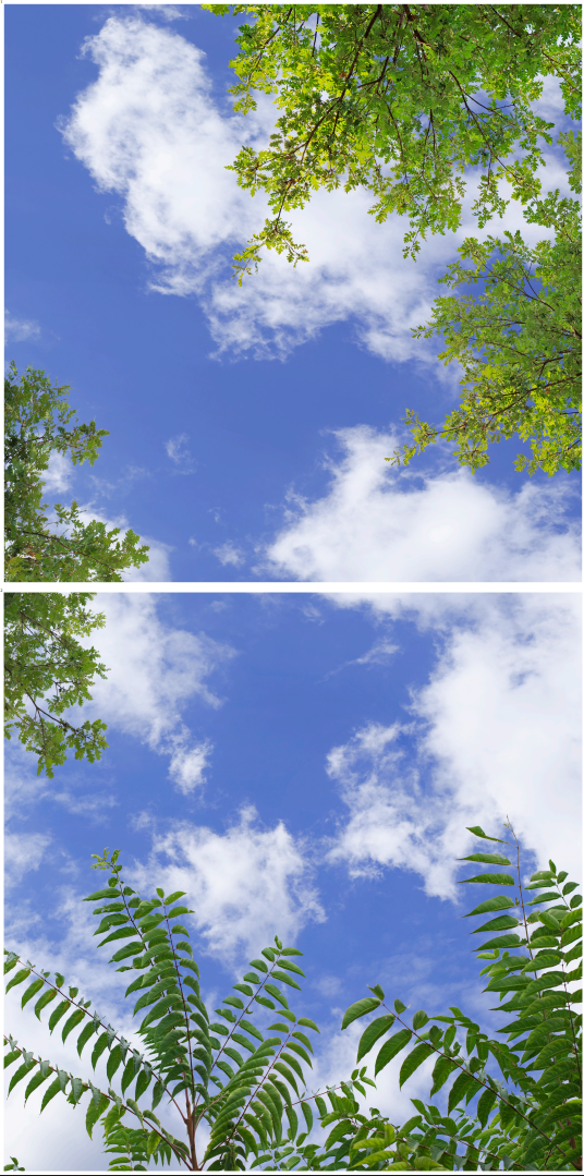 Plafond lumineux P2.23-1x2 Calepiné