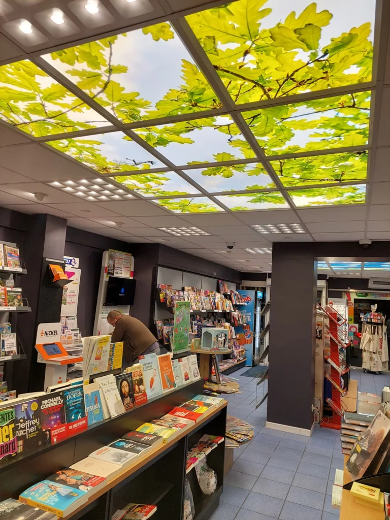 Plafond trompe-l’œil lumineux imprimé pour éclairer un commerce sans fenêtre